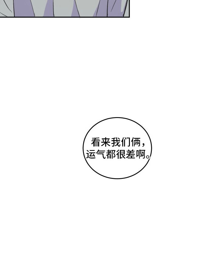 第11章：家里进人