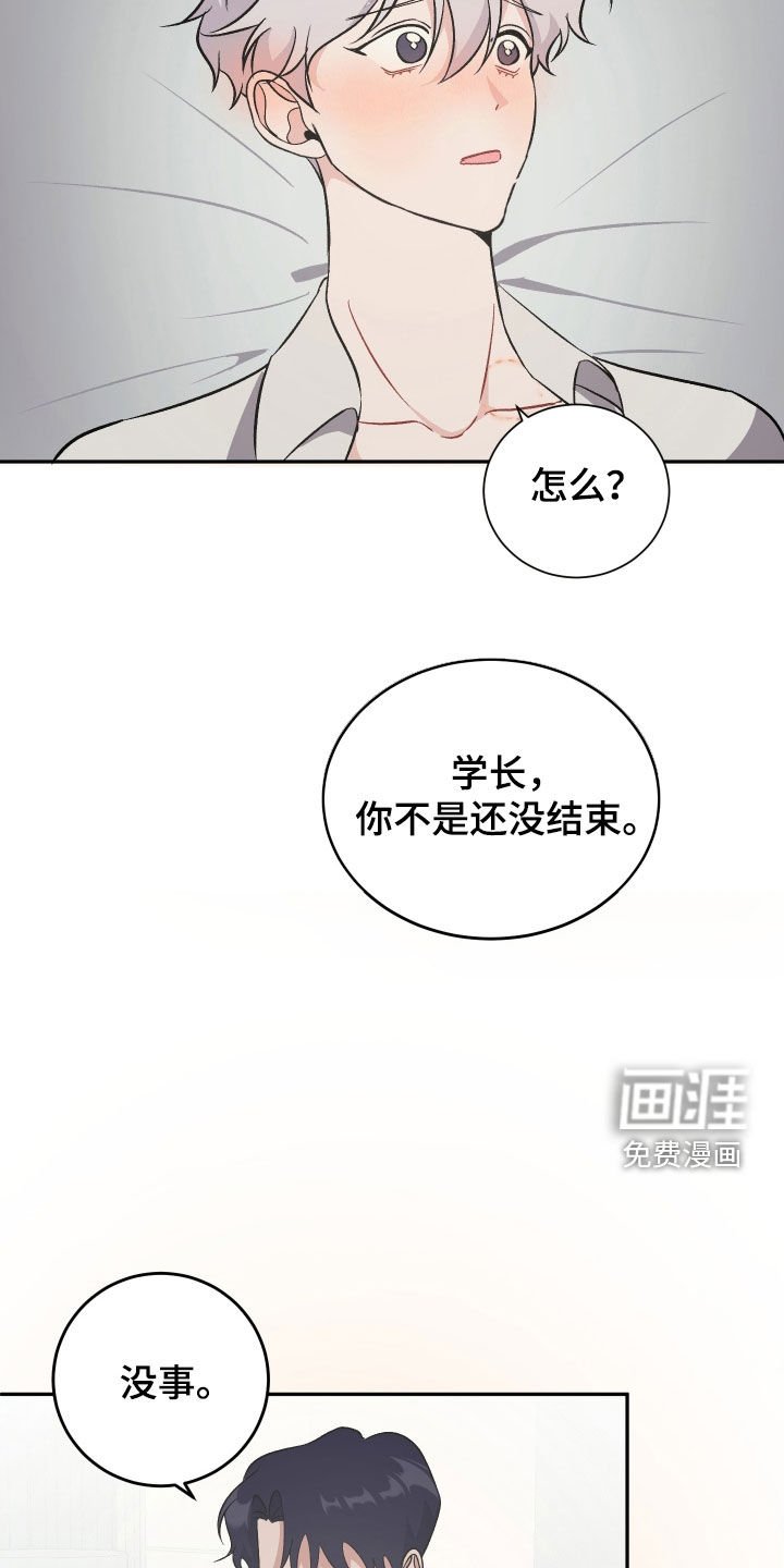 第14章：开始交往
