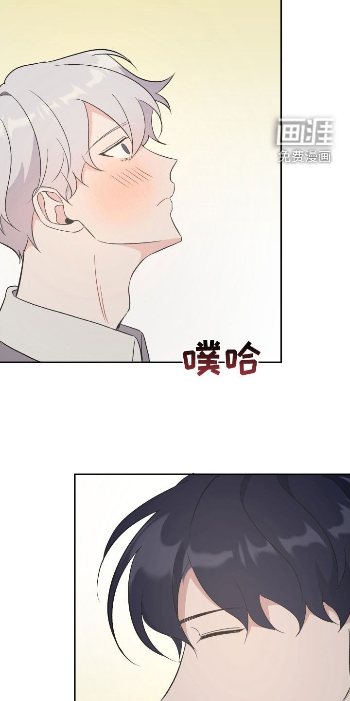 第14章：开始交往