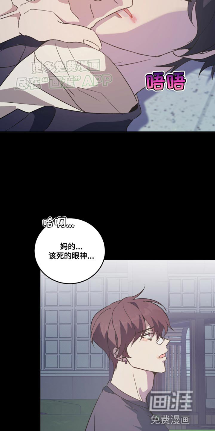 第17章：不是你的错吗？