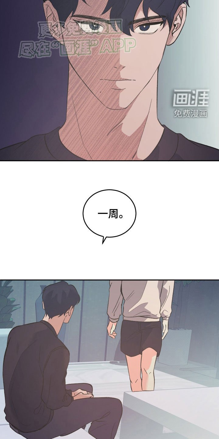 第29章：一周