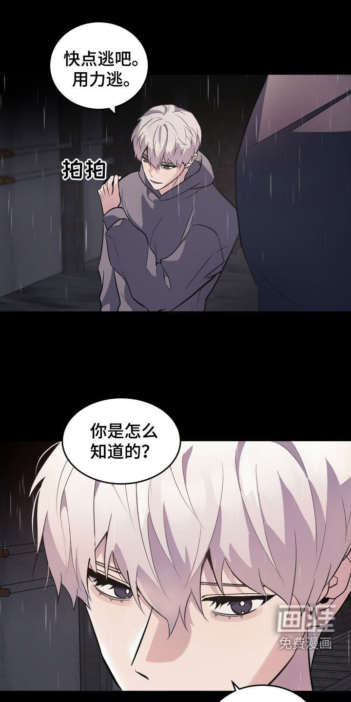 第33章：现在就说