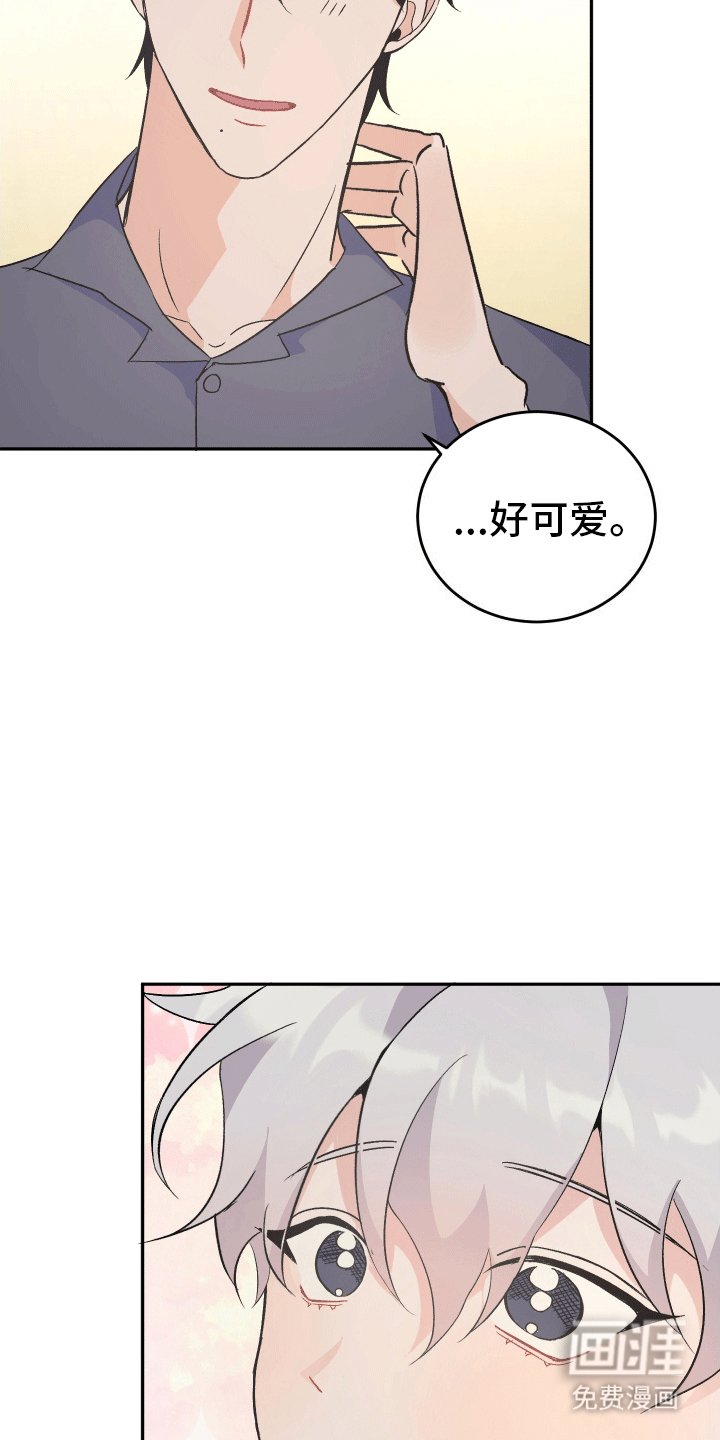 第8章：发现心意
