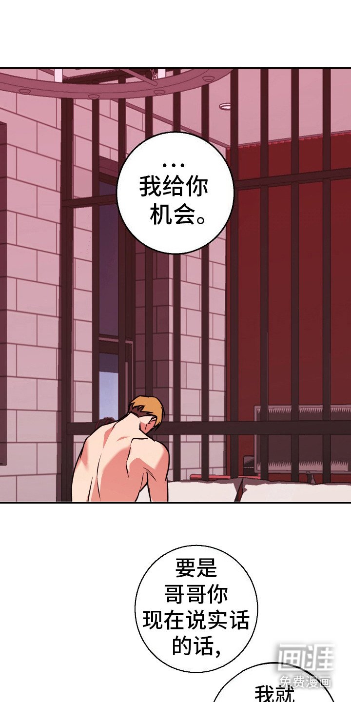 第11章：命运相连