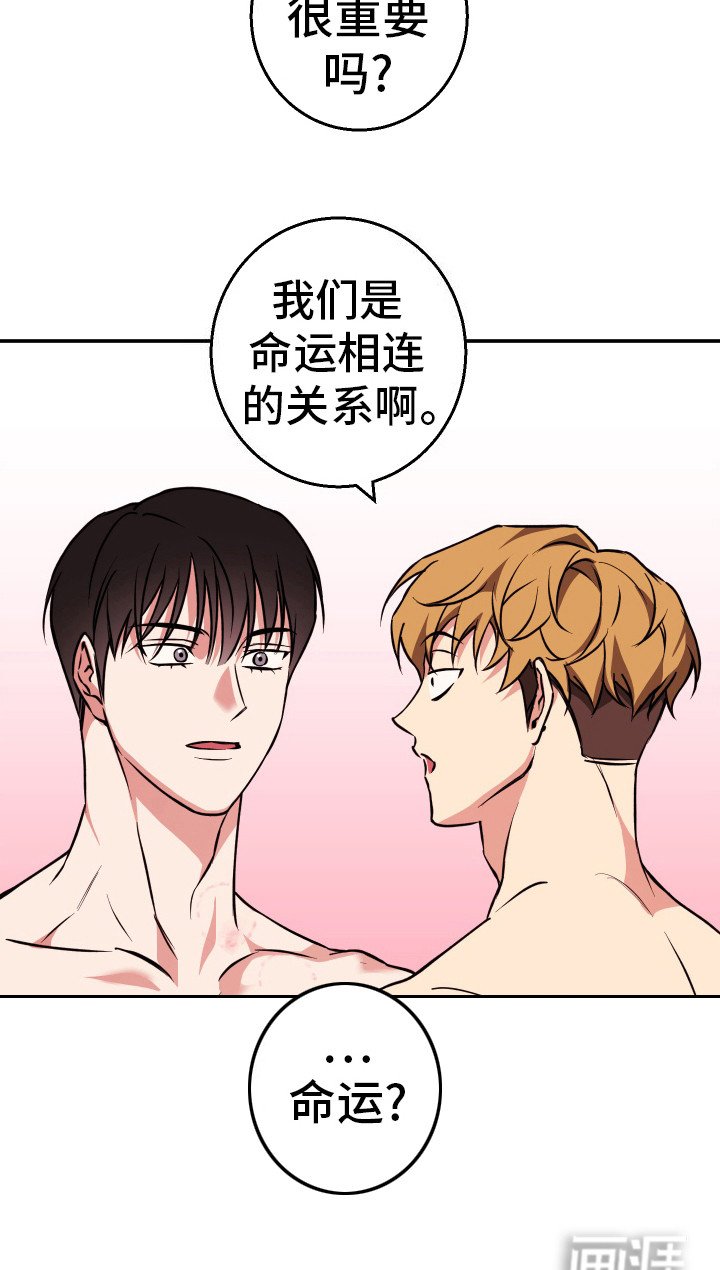 第11章：命运相连