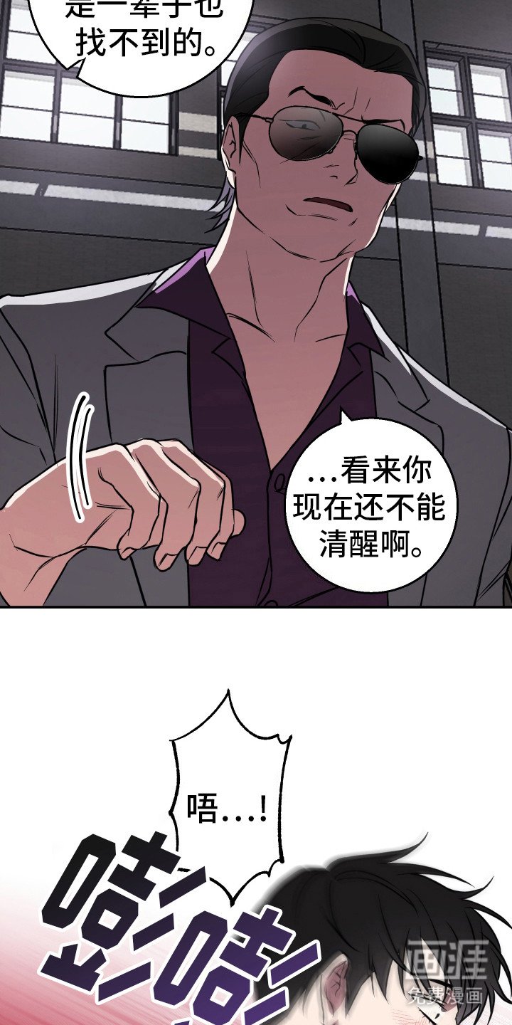 第13章：毅力