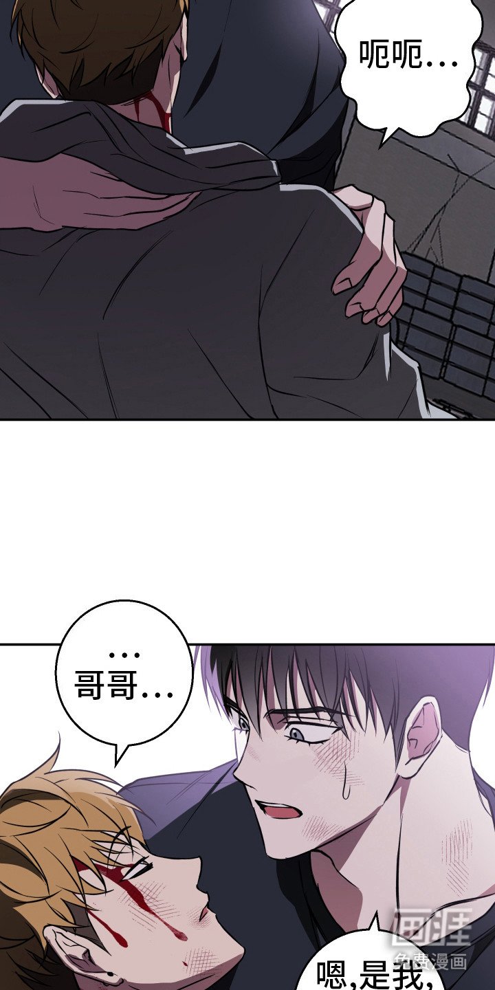 第14章：挡在身前