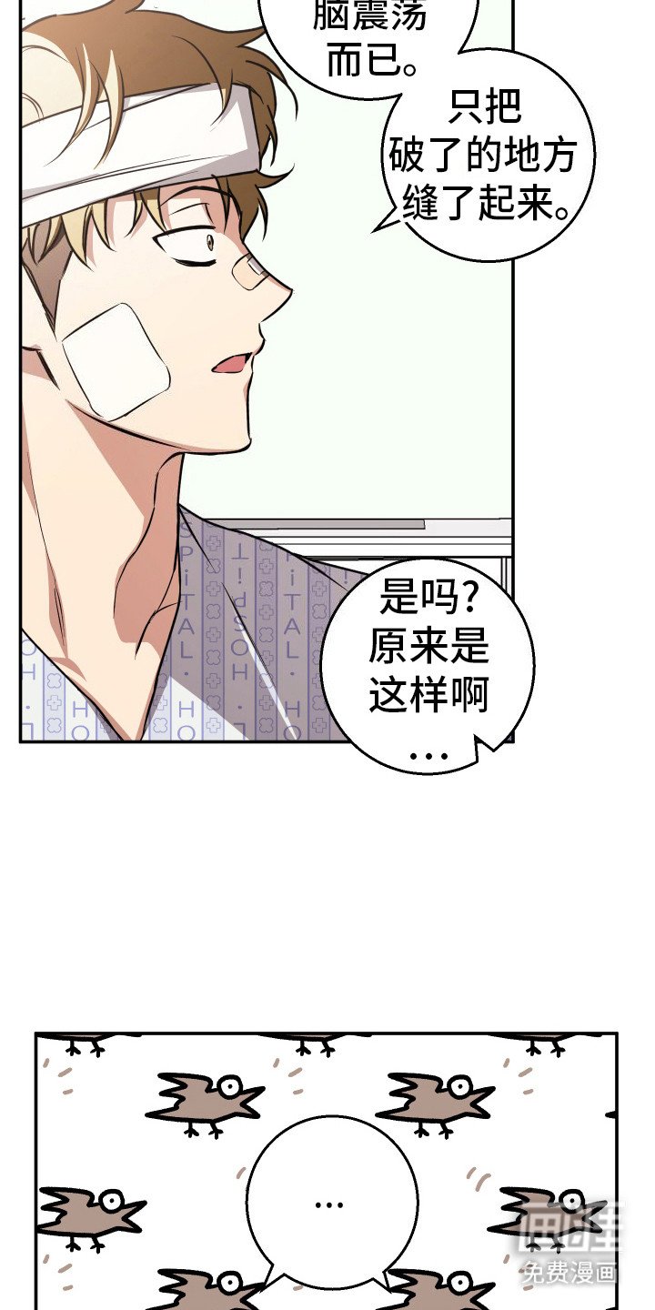 第15章：举报