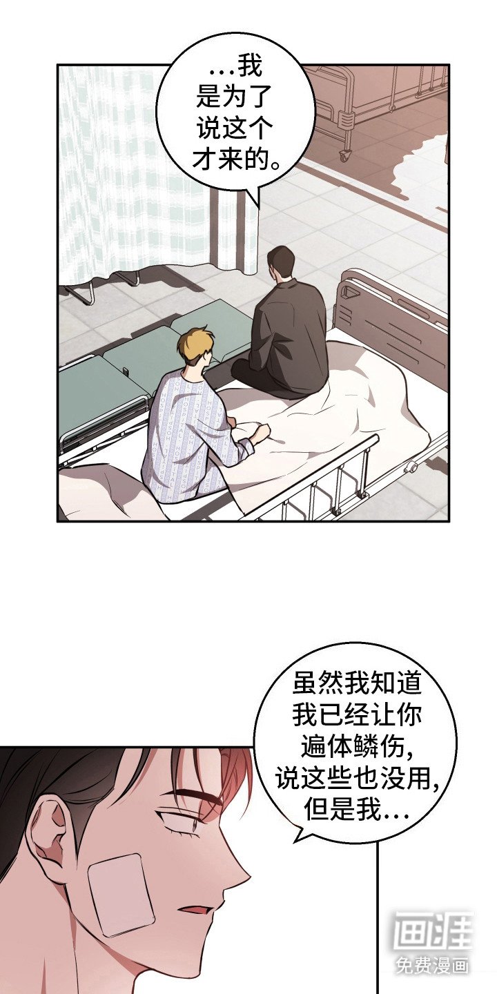 第17章： 继续交往