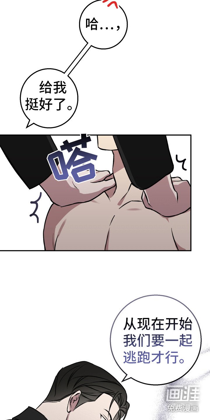 第7章：猜测