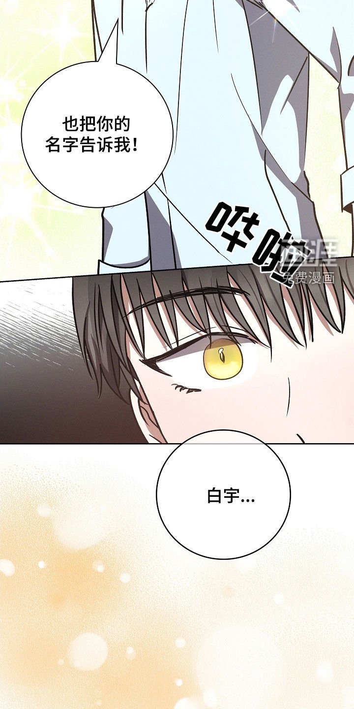 第101章：【第二季】别丢下我