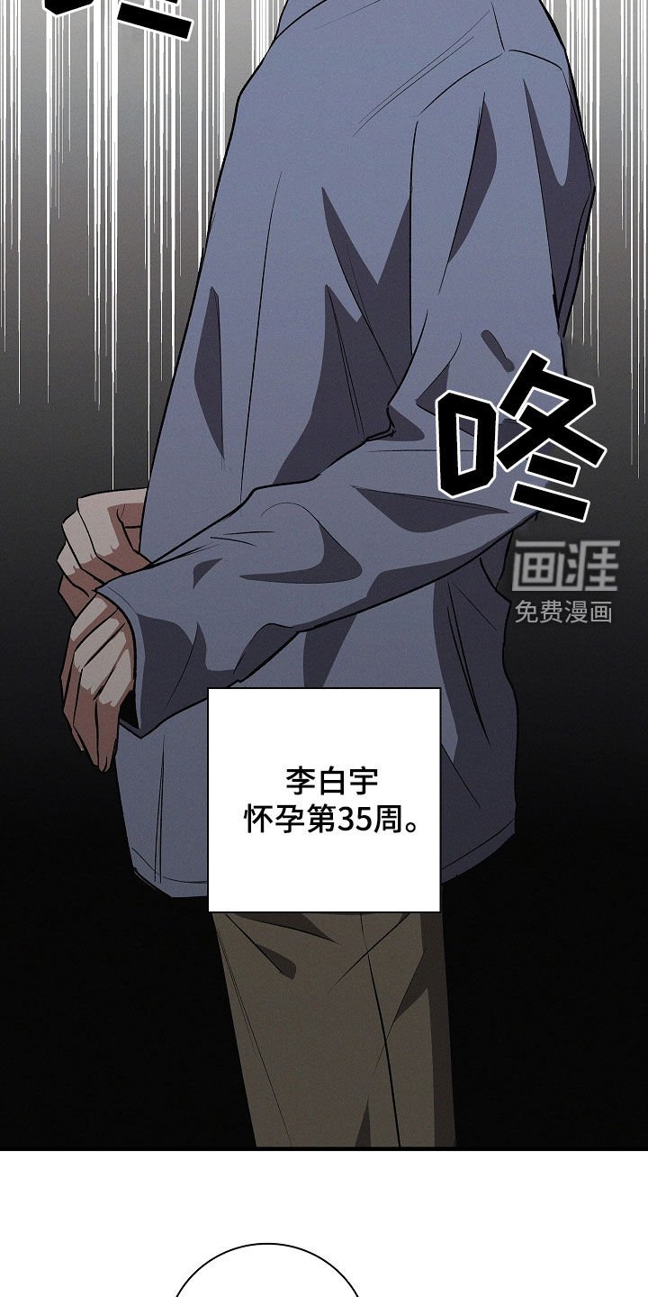 第109章：【番外】十月怀胎