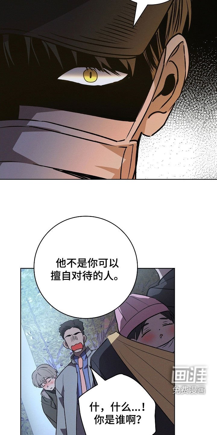 第113章：【番外完结】最好的礼物