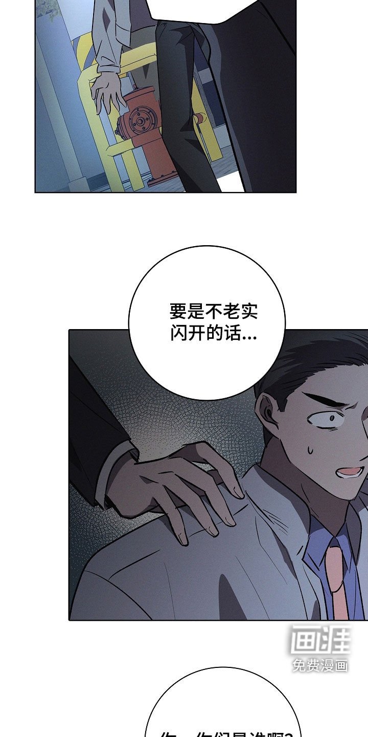 第113章：【番外完结】最好的礼物