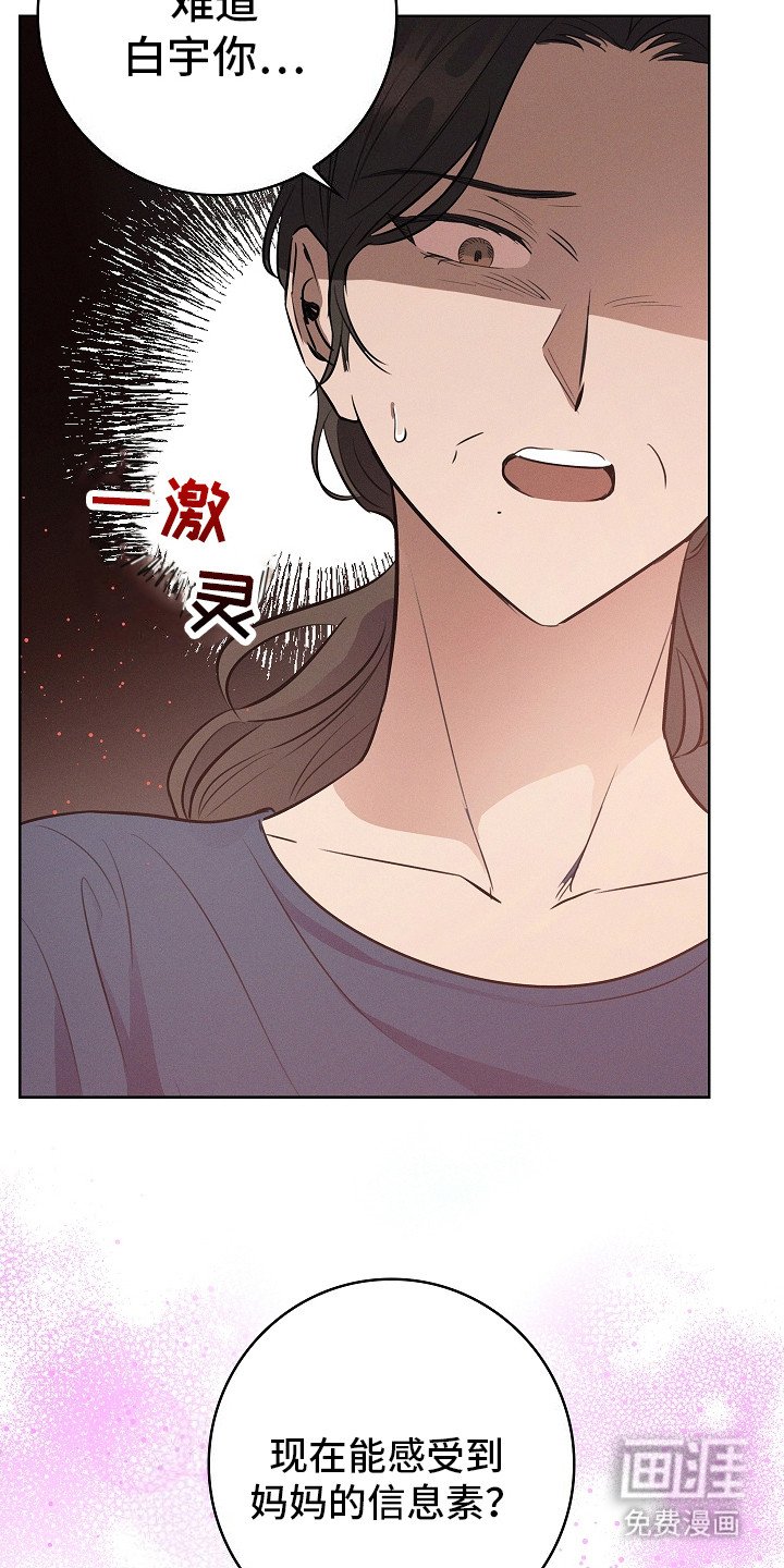 第16章：记者们