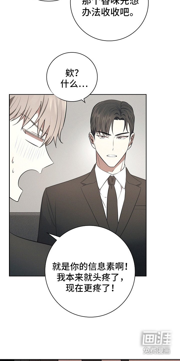 第20章：信息素