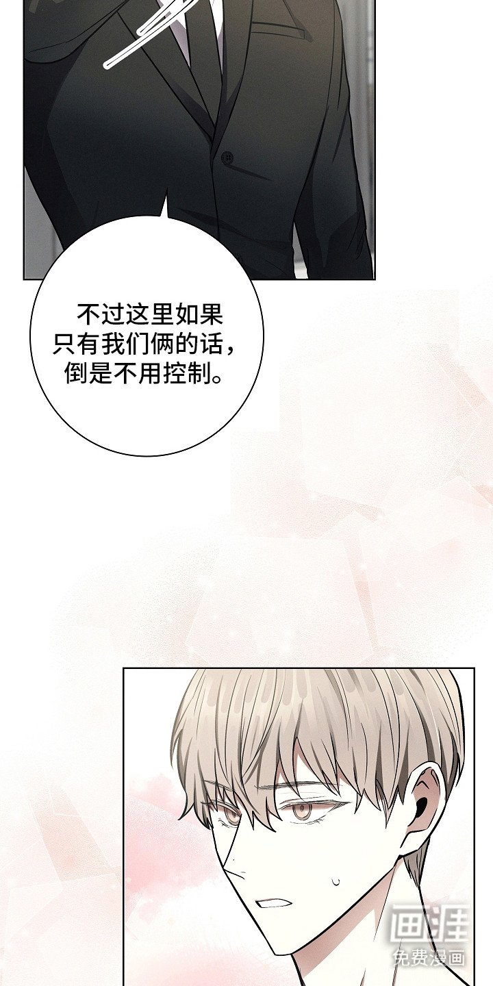 第20章：信息素