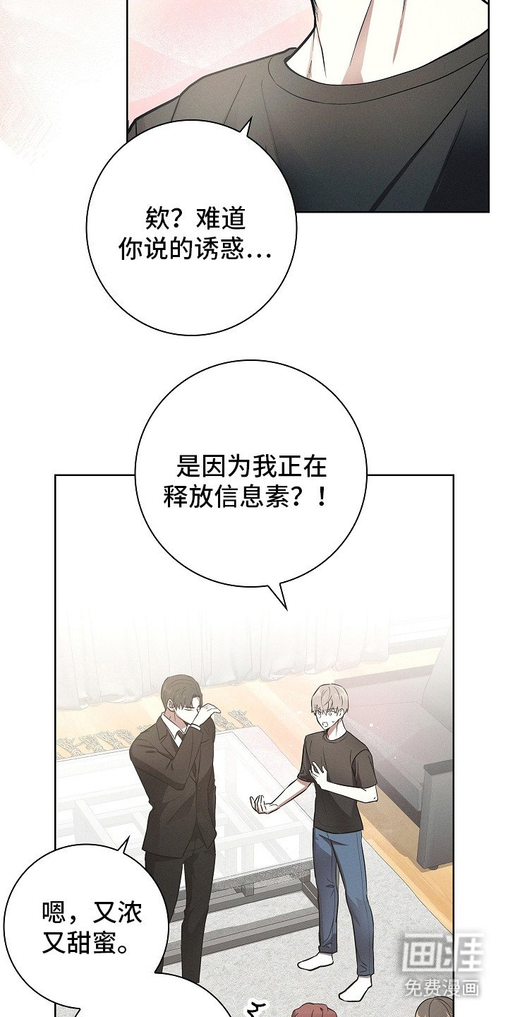 第20章：信息素