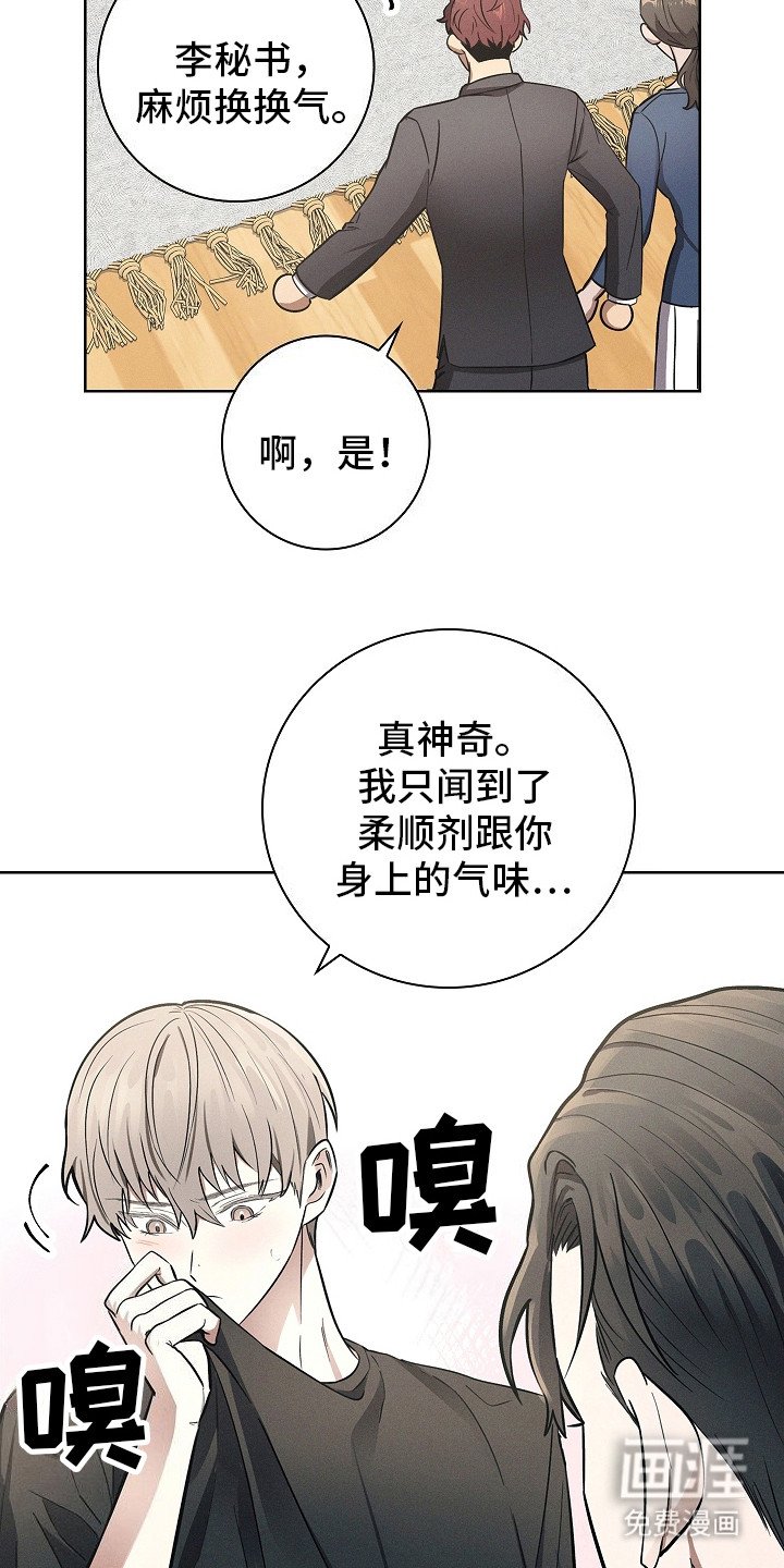 第20章：信息素