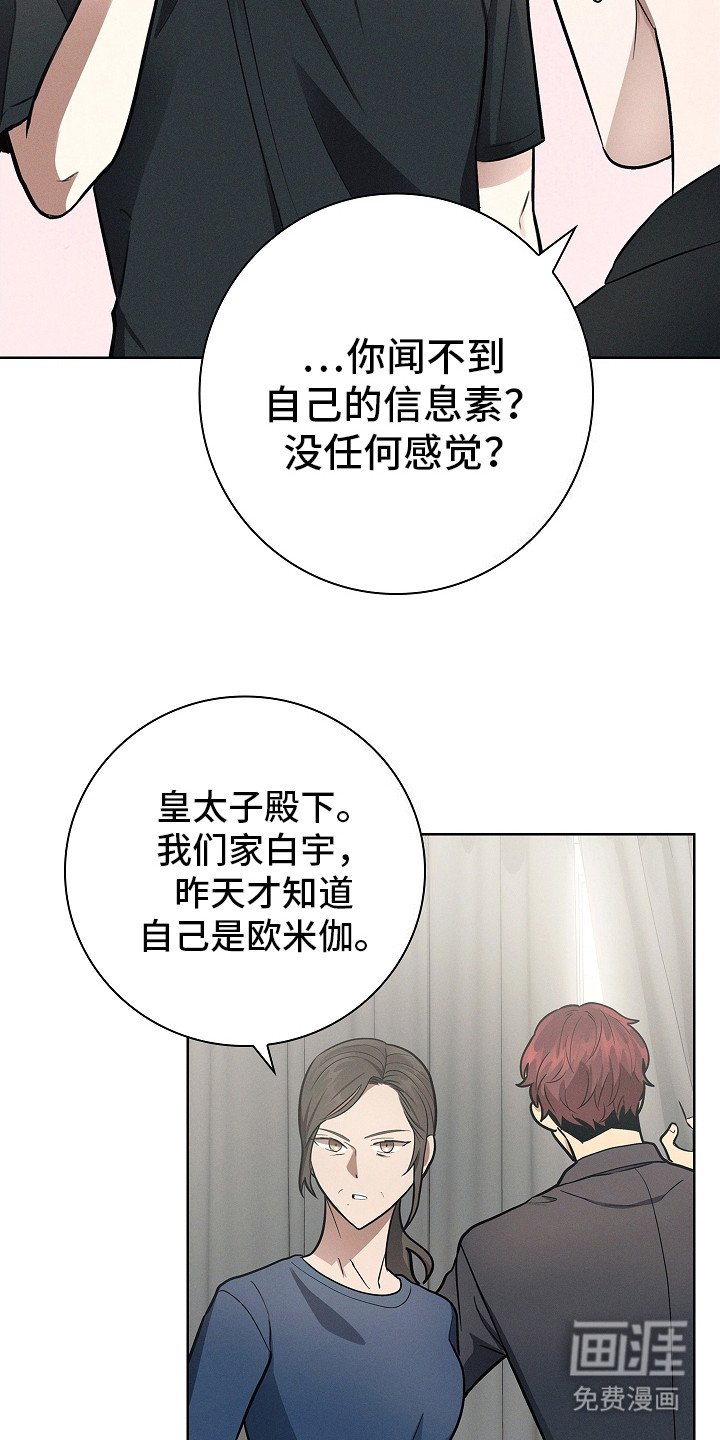 第20章：信息素
