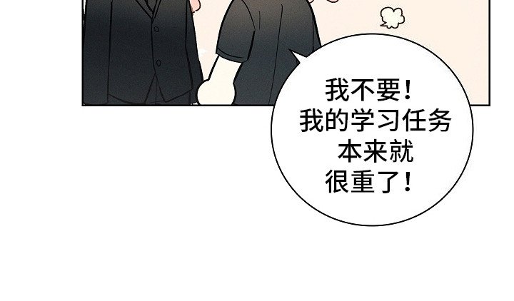 第20章：信息素