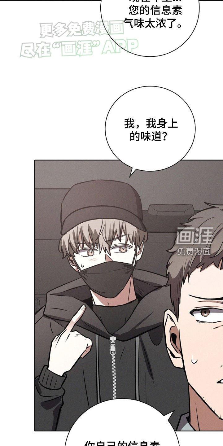 第31章：药效已过