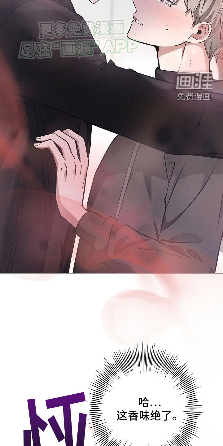 第34章：狗东西