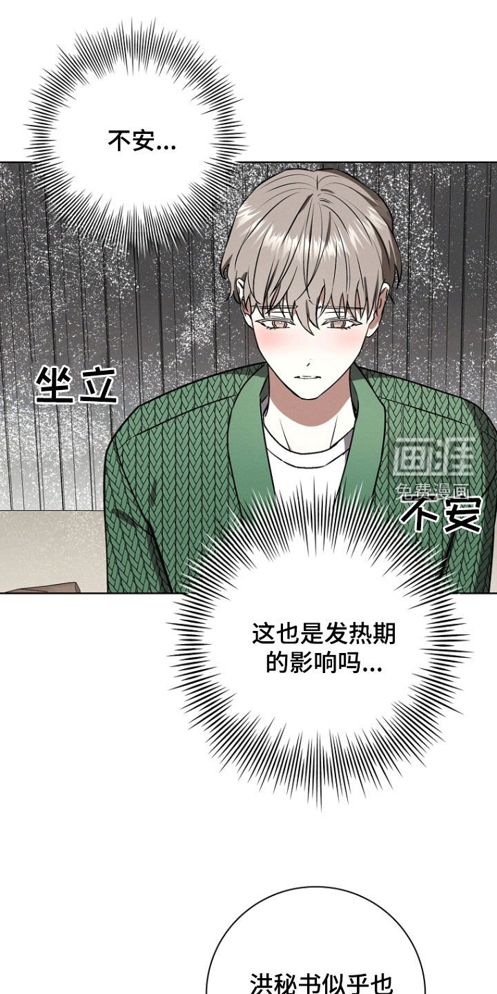 第53章：偶遇