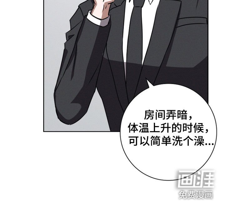 第53章：偶遇