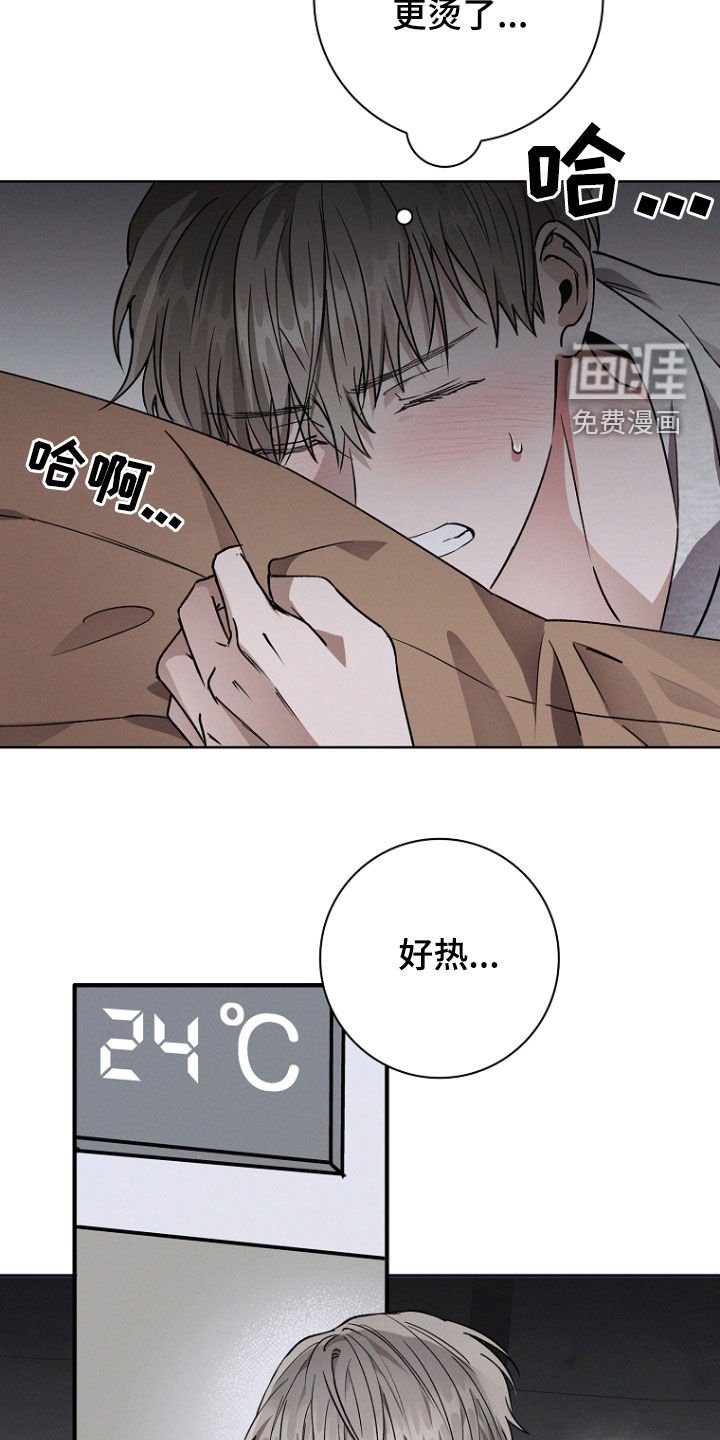 第55章：不会叫你停下