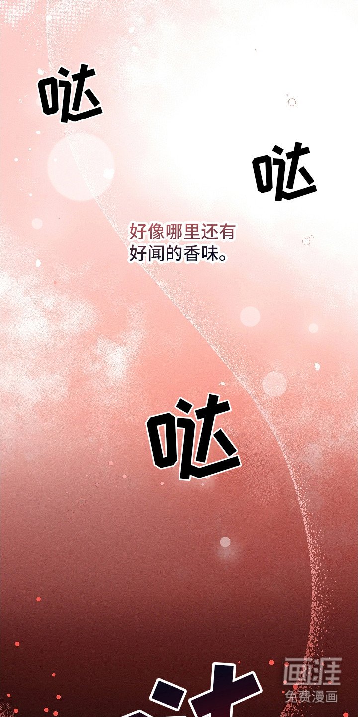 第6章：有人跟着