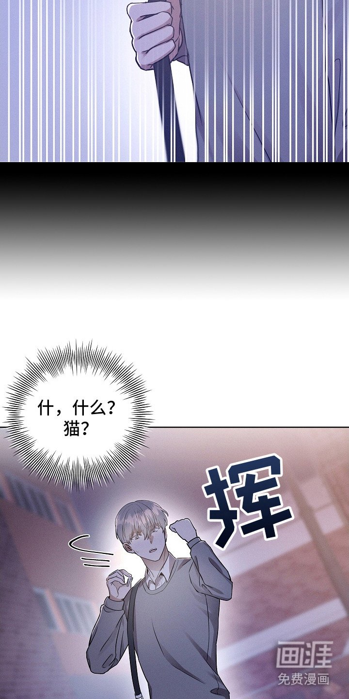 第6章：有人跟着