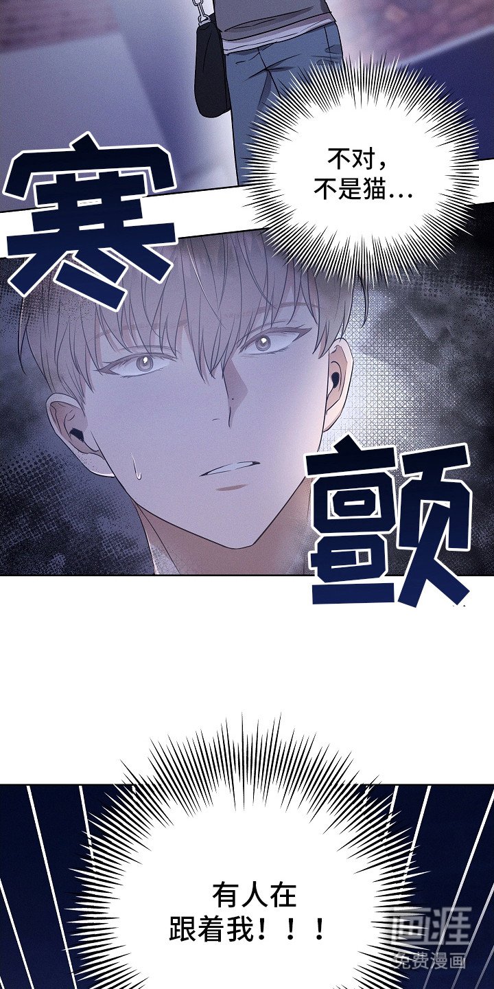 第6章：有人跟着