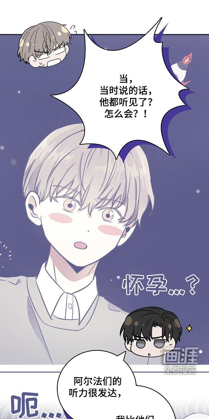 第61章：你说实话吧