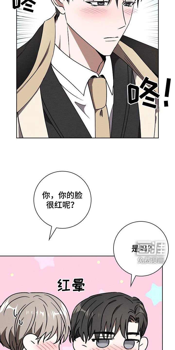 第66章：完美出色