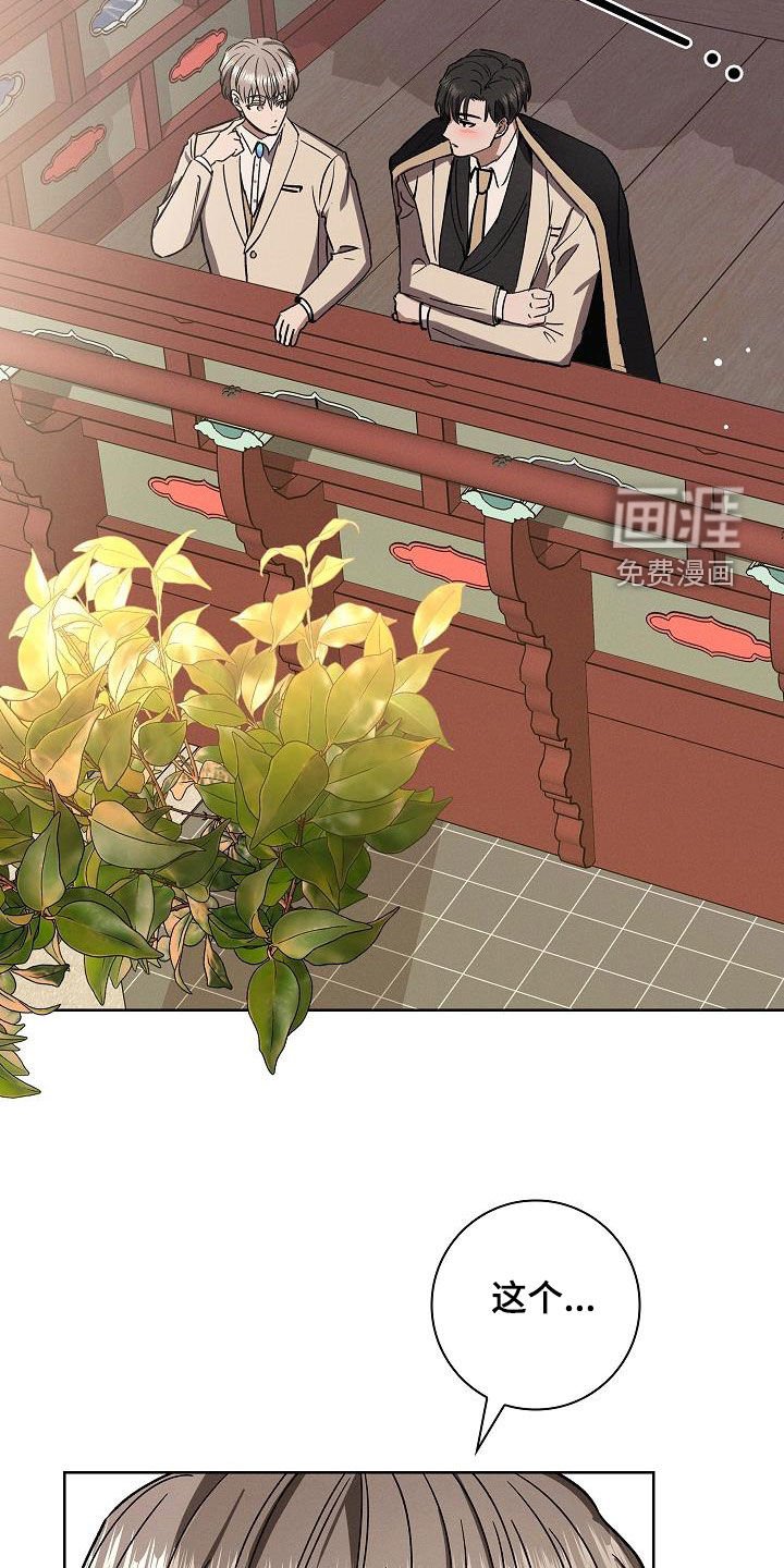 第66章：完美出色