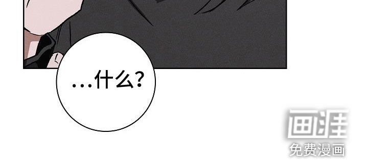第73章：以后再帮我 （第一季完结）