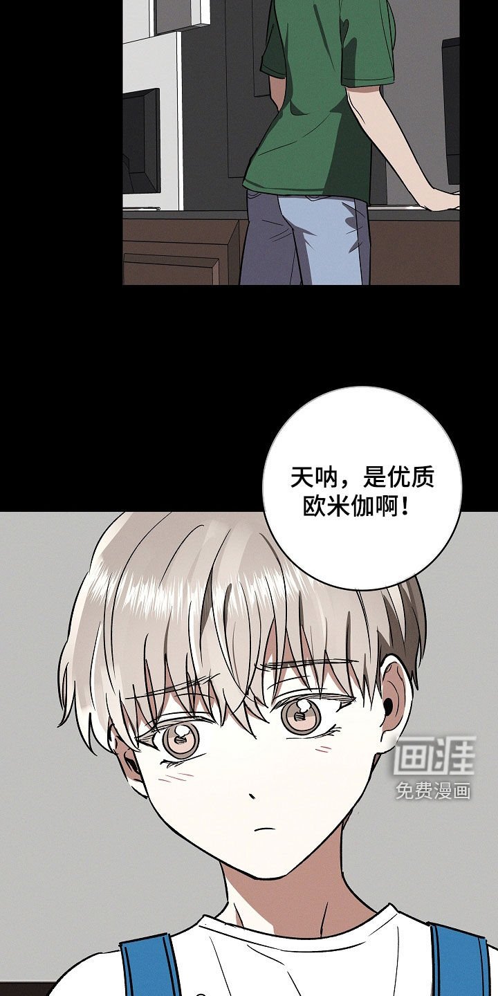 第79章：【第二季】逃跑经验