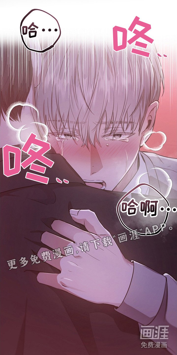 第8章：抬起头来