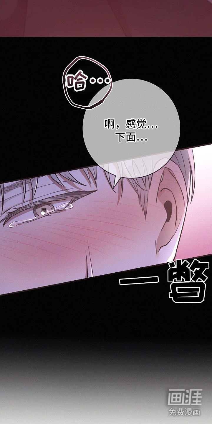 第8章：抬起头来