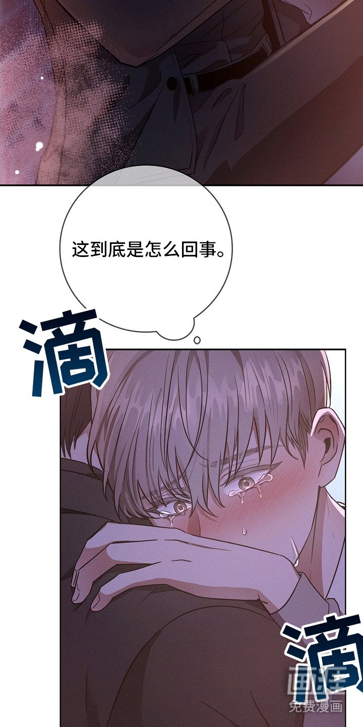 第8章：抬起头来