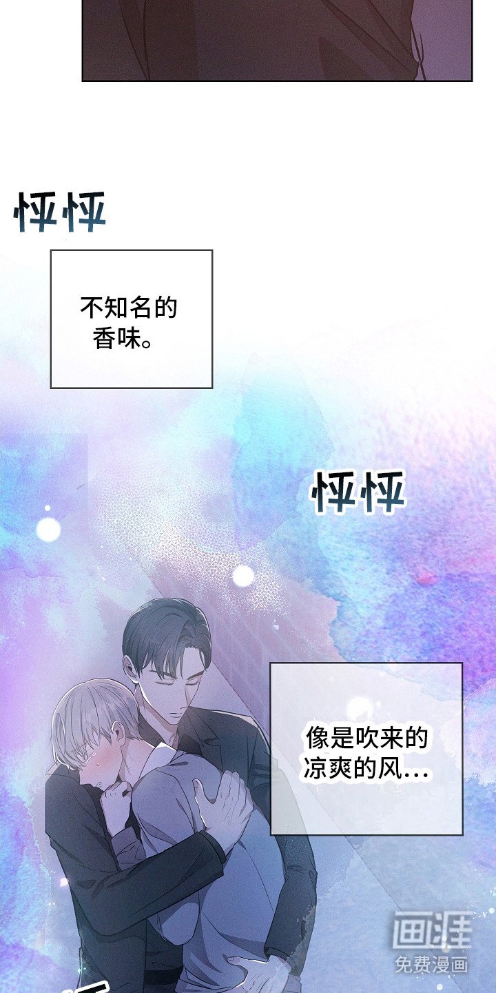 第8章：抬起头来
