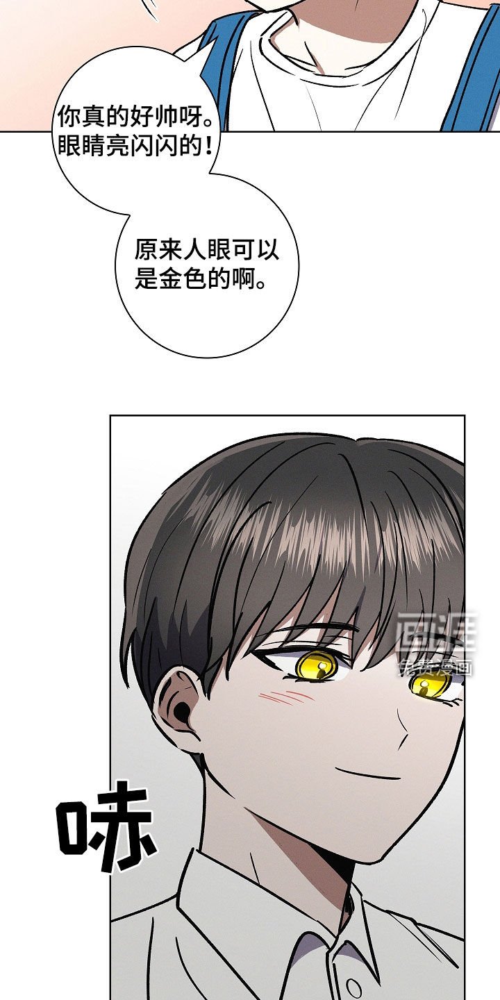第80章：【第二季】想起