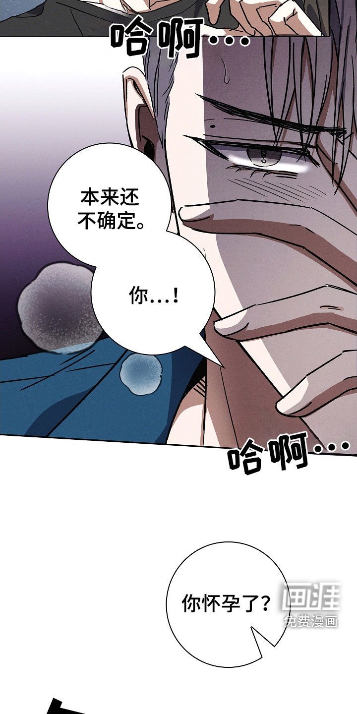 第87章：【第二季】怀孕