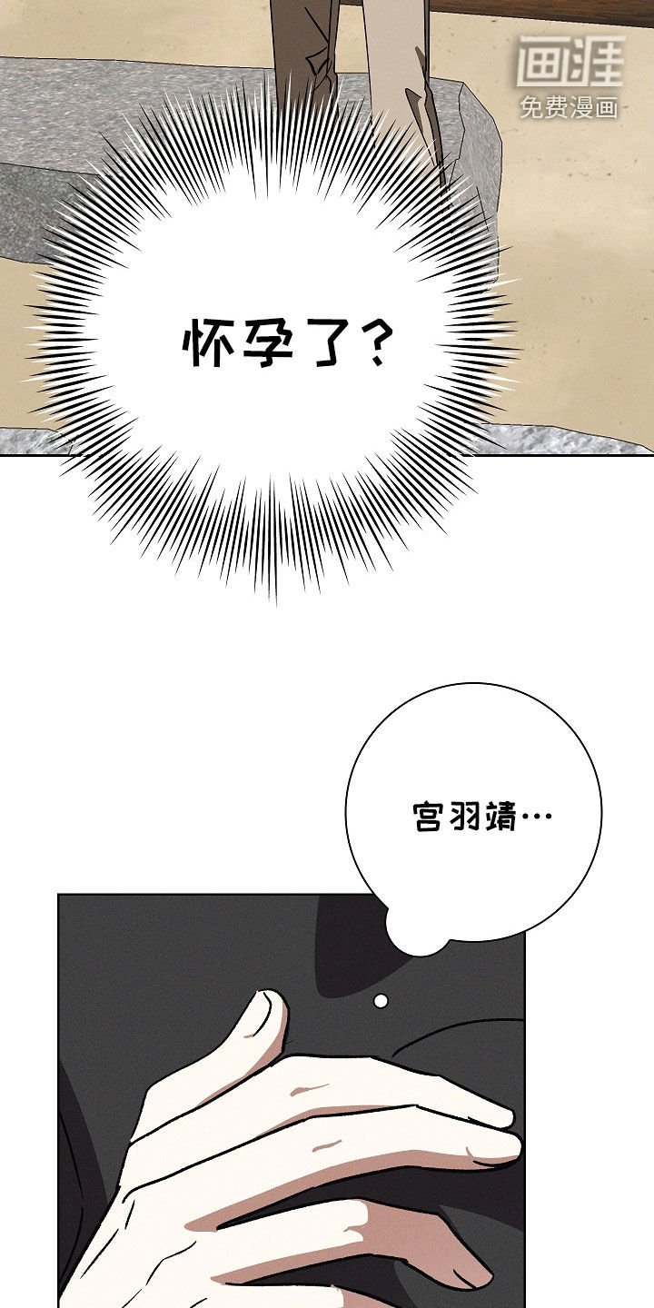 第87章：【第二季】怀孕