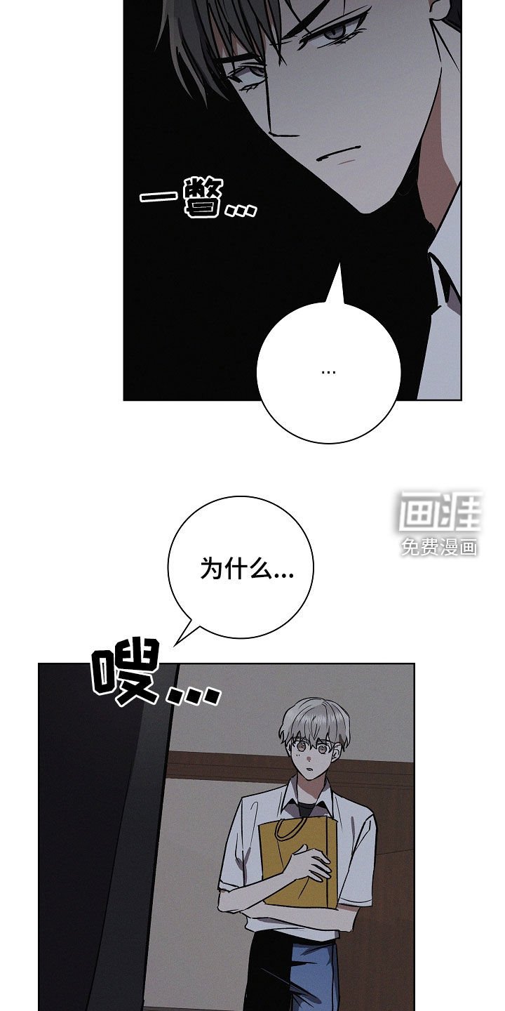 第97章：【第二季】胎名