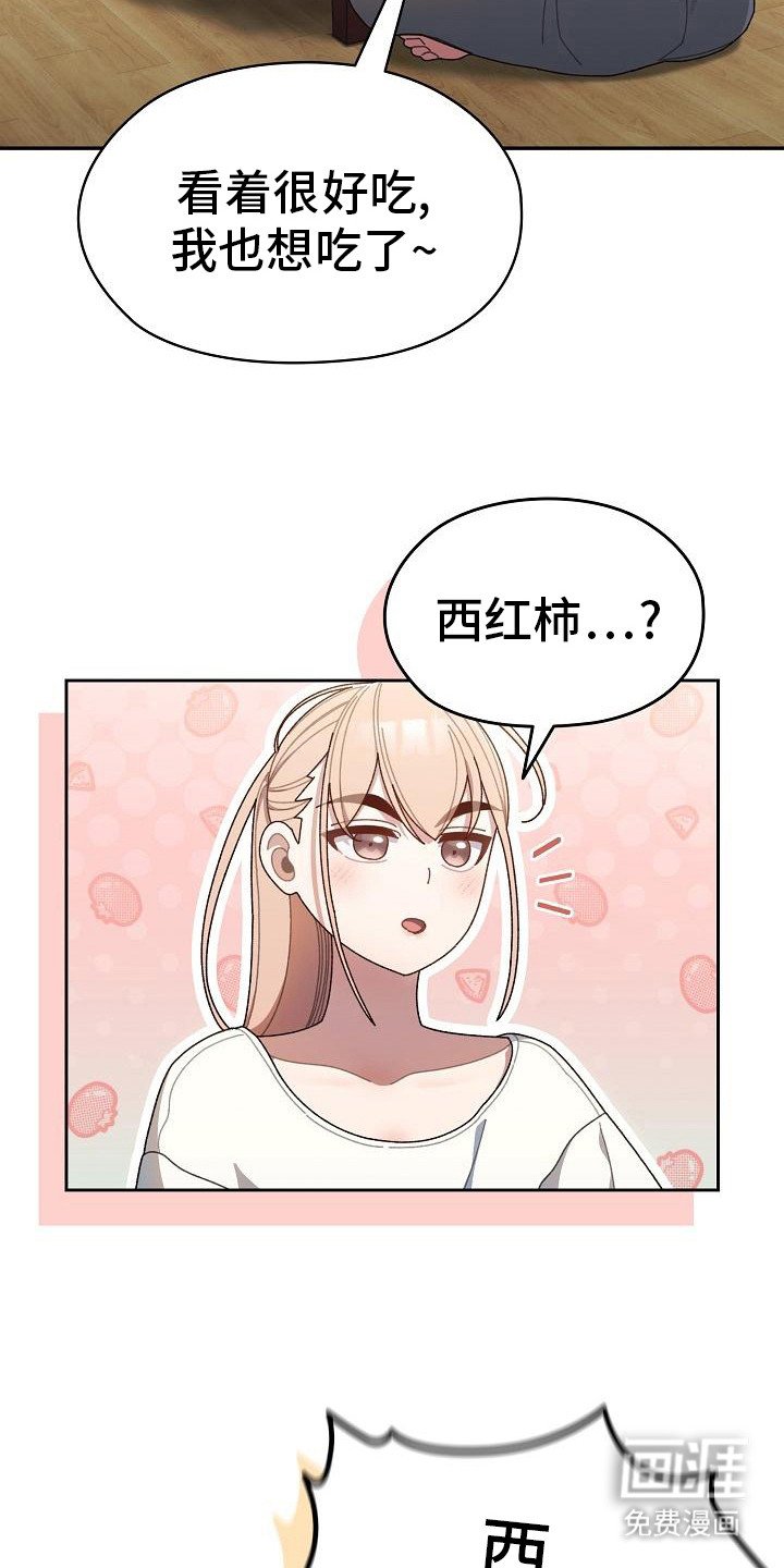 第12章：西红柿