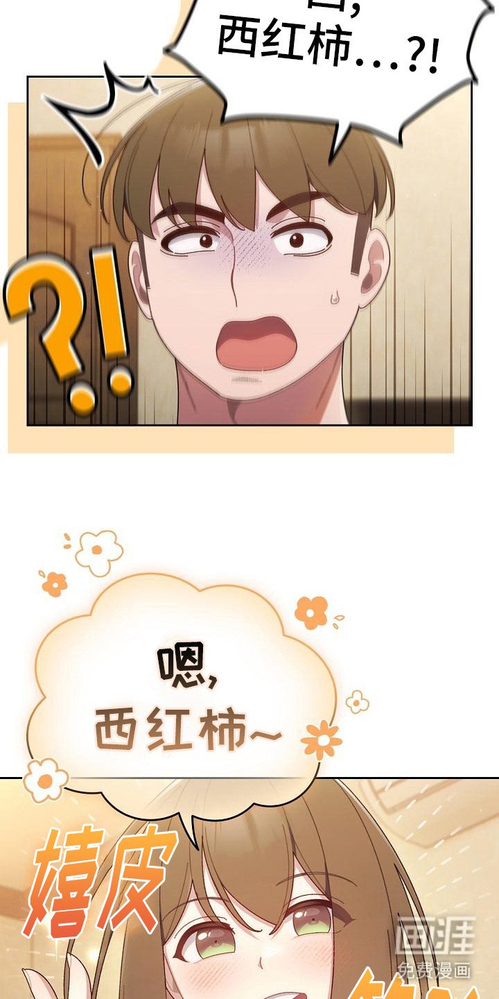 第12章：西红柿