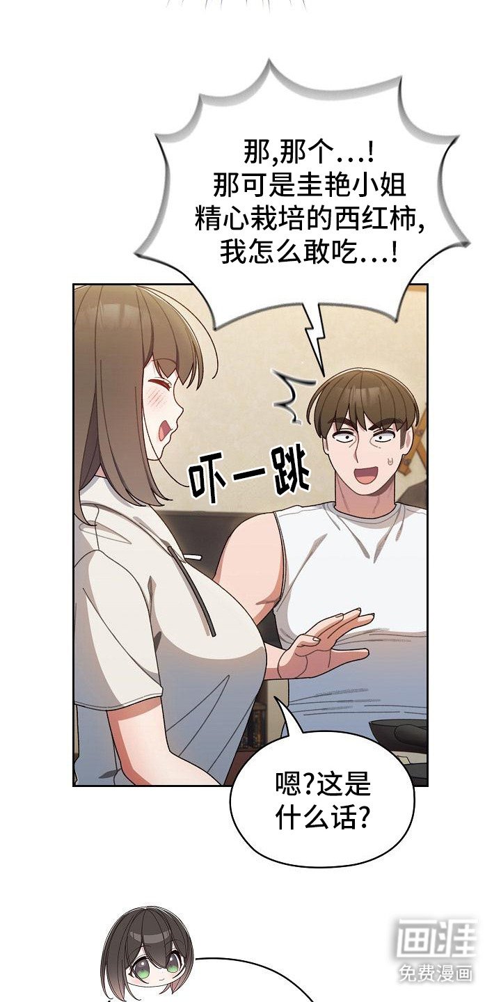 第12章：西红柿