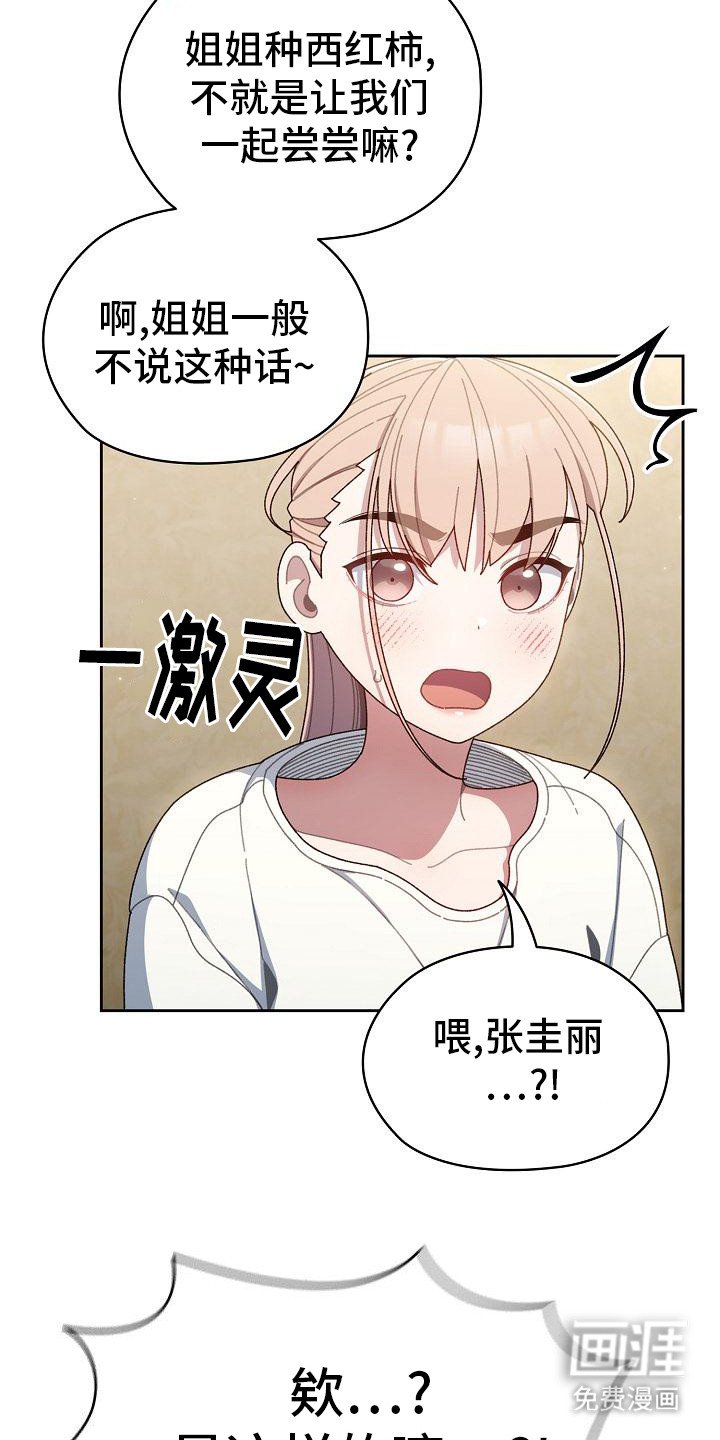 第12章：西红柿
